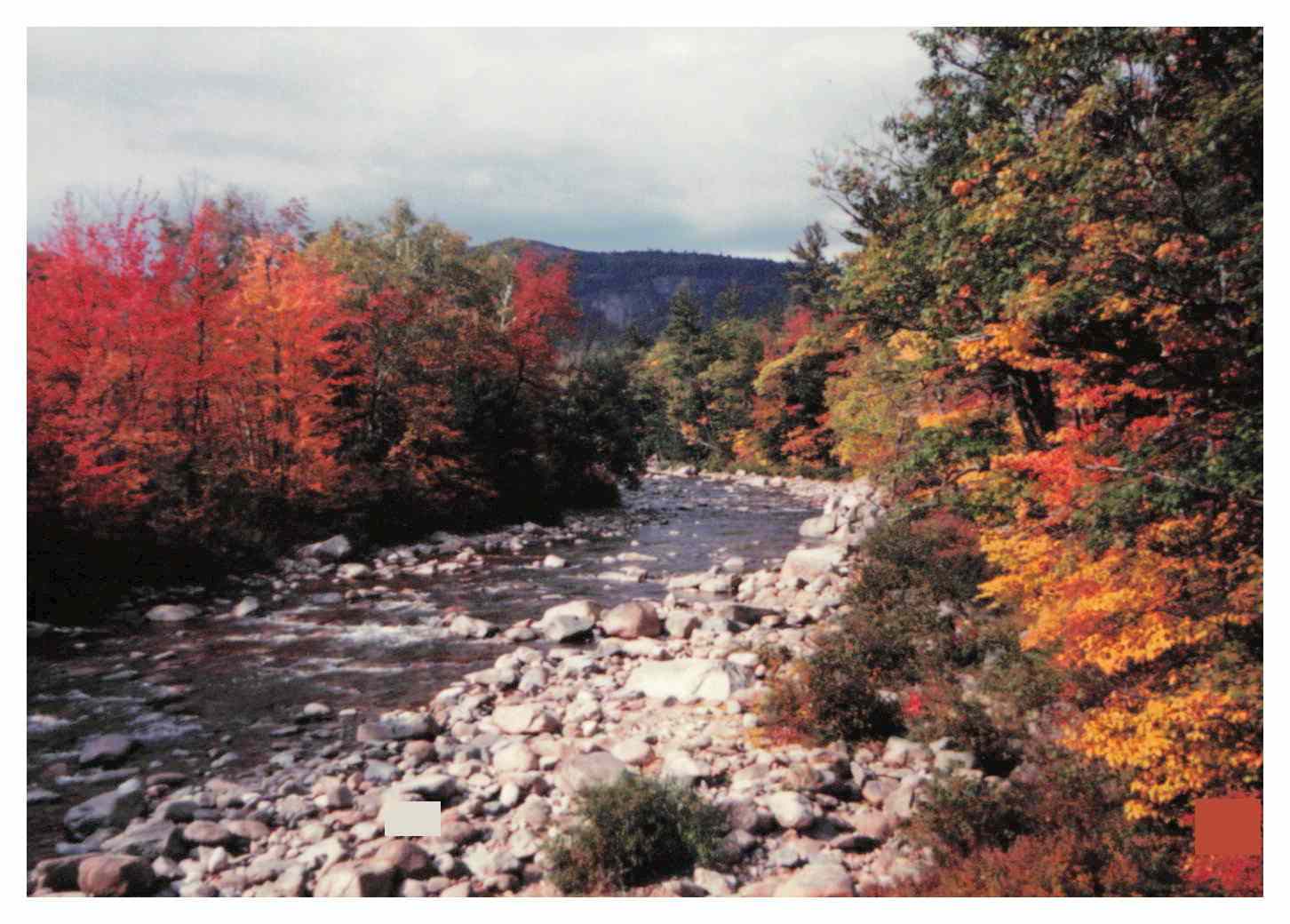 New England river surrounded by orange, yellow, and green trees