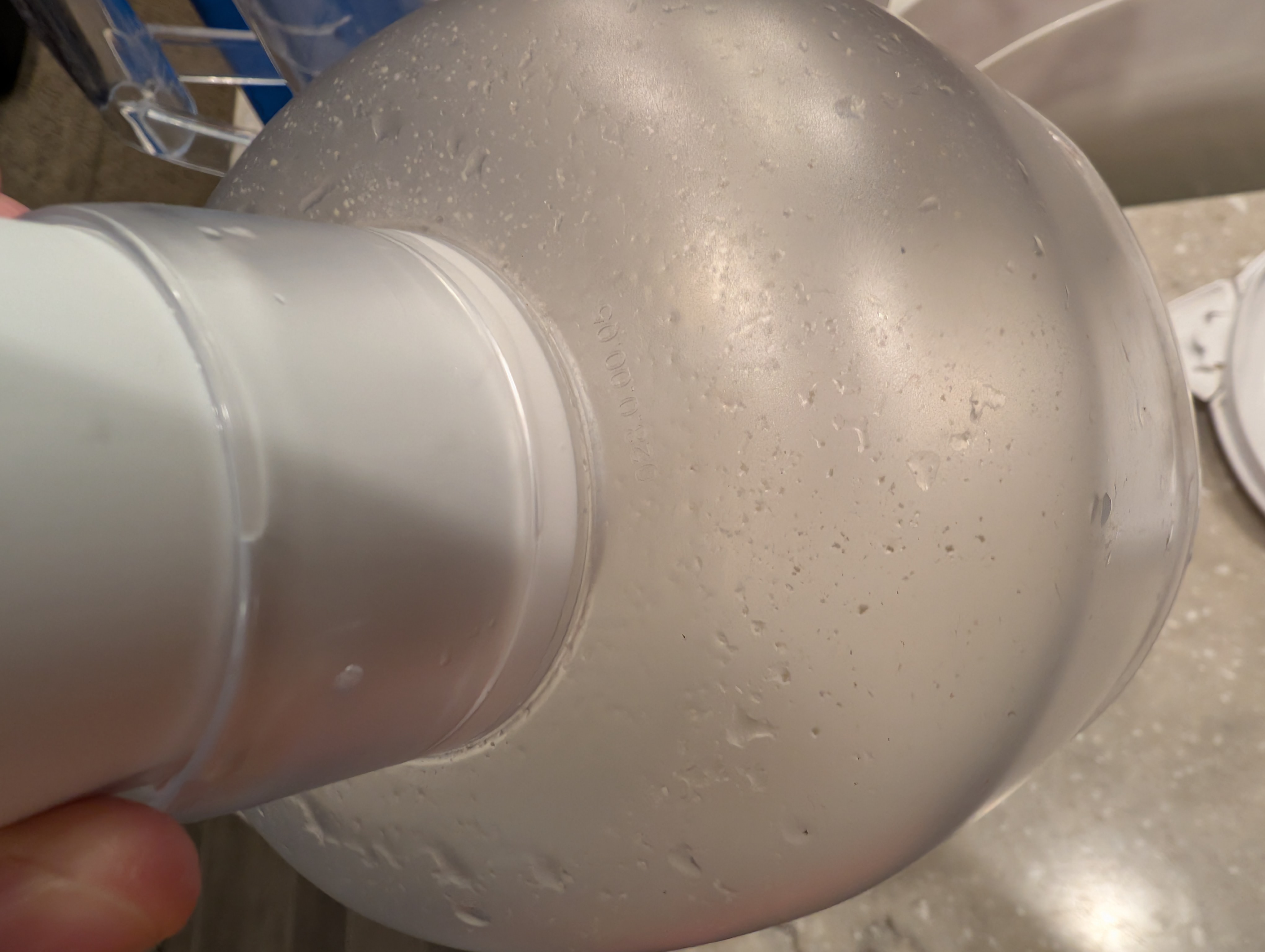 Bacteria inside a filtered water pitcher