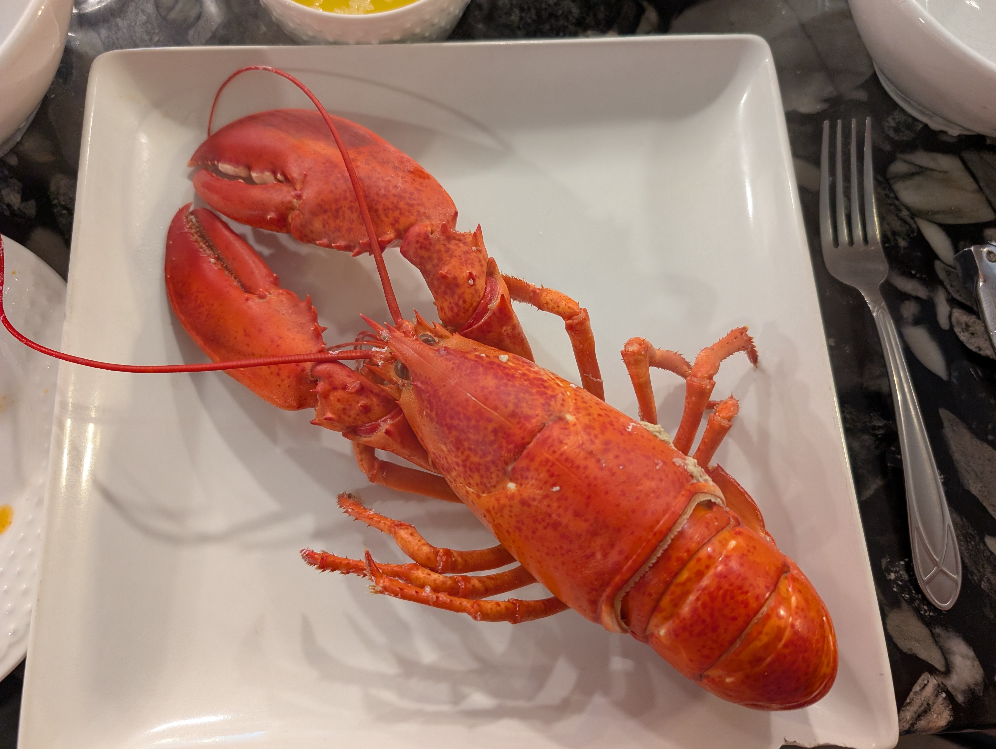 A cooked  England lobster